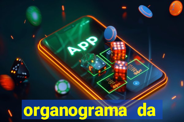 organograma da cacau show